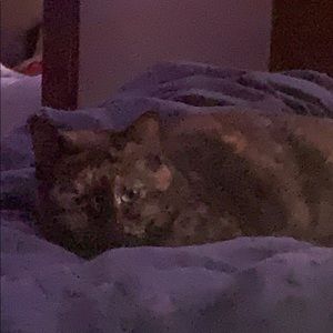 no clothes before this post are for sale anymore